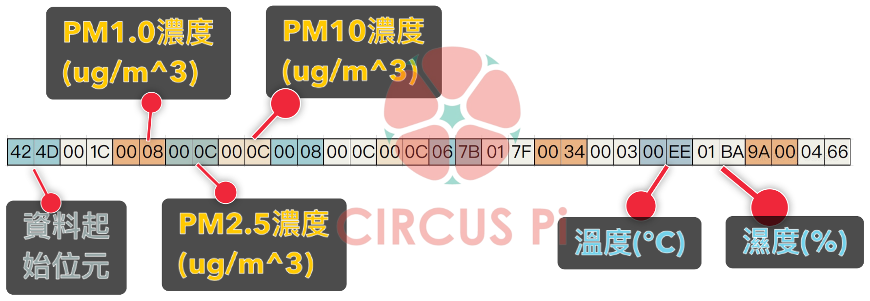 訊框格式與實際資料